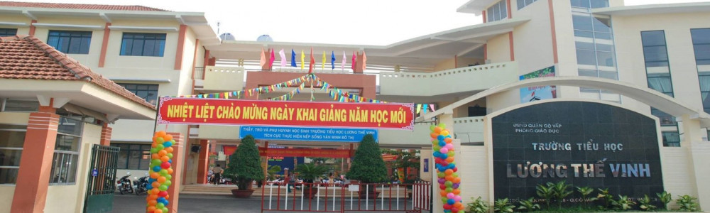 Luong The Vinh primary school